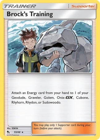 Brock's Training #55 Pokemon Hidden Fates