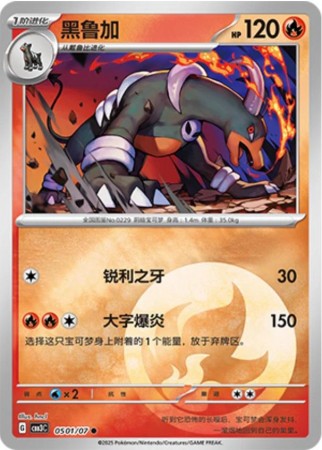 Houndoom #501 Pokemon Chinese Gem Pack 3